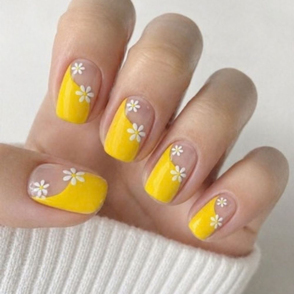 Flor del Sol UVG60253